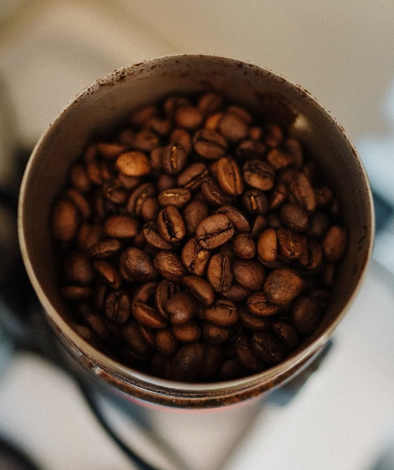 A close-up view of whole coffee beans inside a coffee grinder.