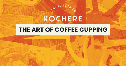 The Art of Coffee Cupping