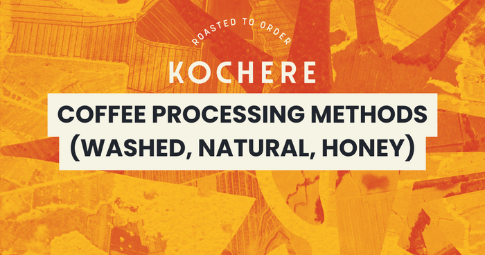 Coffee Processing Methods (Washed, Natural, Honey)