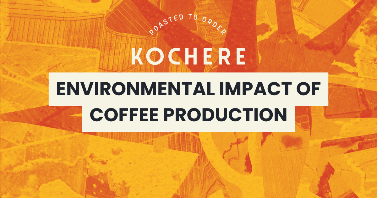 Environmental Impact of Coffee Production