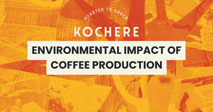 Environmental Impact of Coffee Production