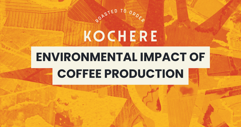 Environmental Impact of Coffee Production