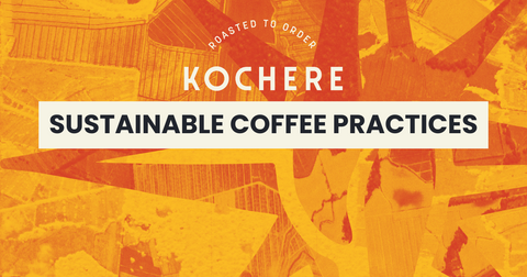 Sustainable Coffee Practices