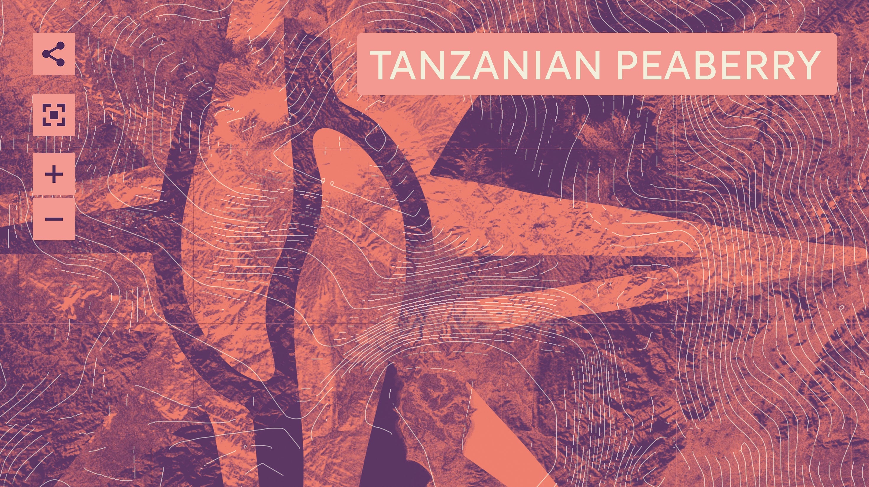 Abstract graphic with contour lines features the text "Tanzanian Peaberry" in a box; icons for sharing, zooming in, and zooming out appear on the left side.