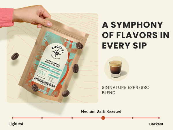 A hand holds a bag of Noche Coffee Signature Espresso Blend; coffee beans float nearby. Text highlights medium dark roast and "A Symphony of Flavors in Every Sip.
