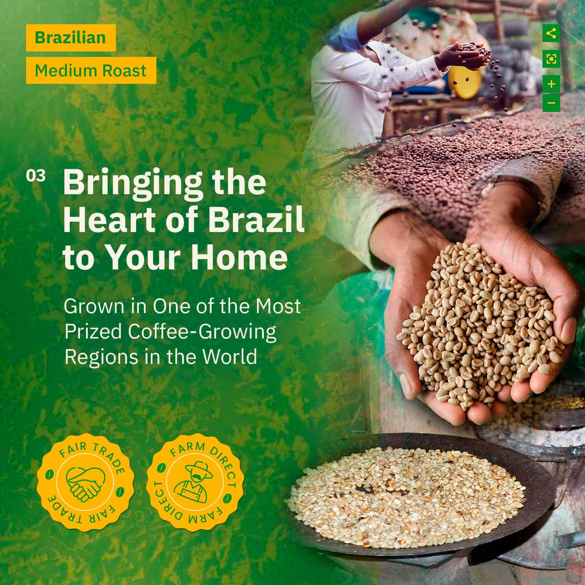 A person holds raw coffee beans over a pile; coffee beans are processed and poured in another image. Text highlights Brazilian medium roast, fair trade, and farm direct coffee.[all]