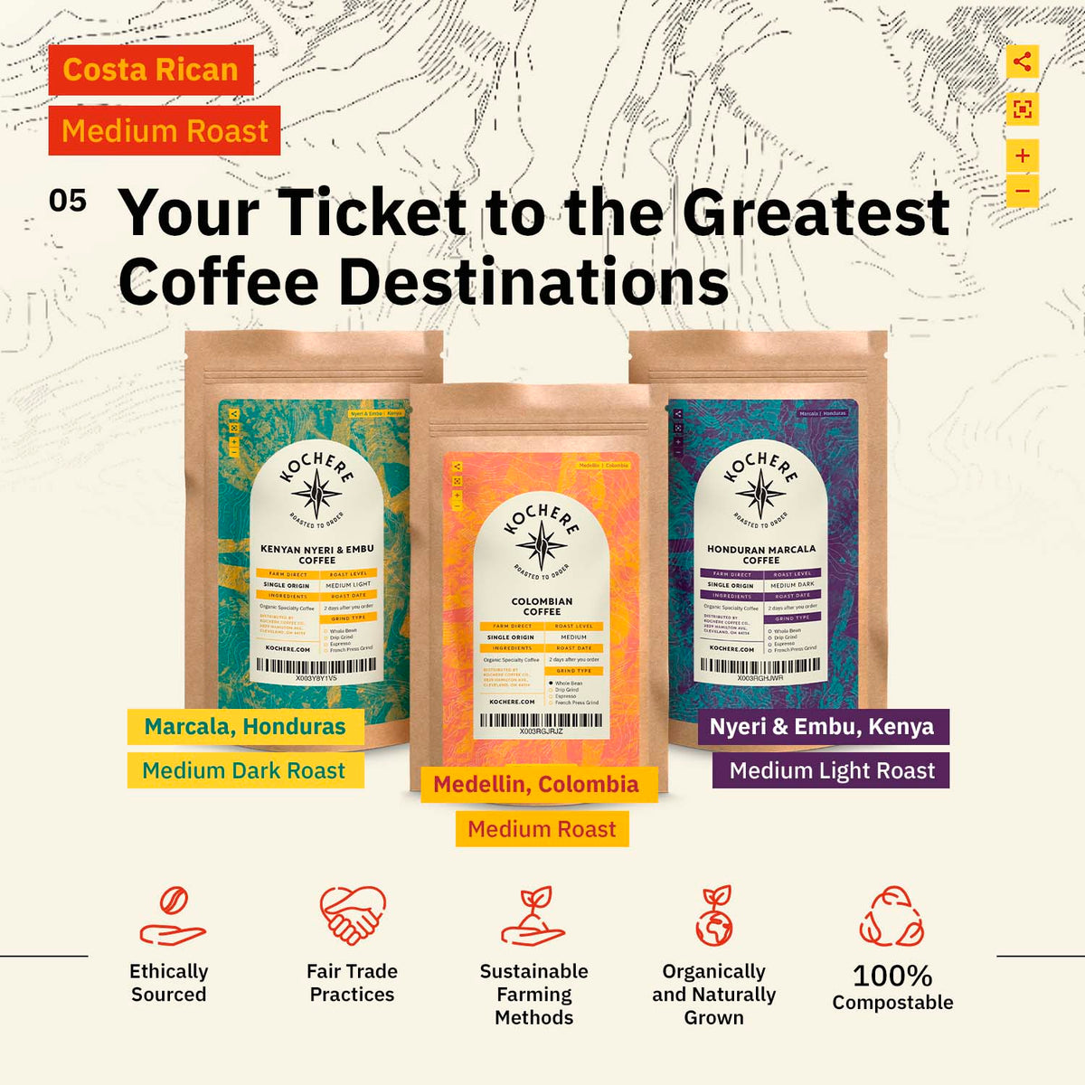 Three bags of Kochere Coffee Company's Costa Rican Alajuela Medium Roast—featuring sweet apple and raisin notes—are displayed with clear roast type, origin labels, and icons highlighting ethical and sustainable practices.[all]