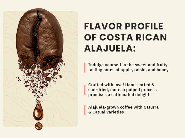 A coffee bean with ground coffee and a drop below it, next to text describing the flavor profile and origin of Costa Rican Alajuela coffee.