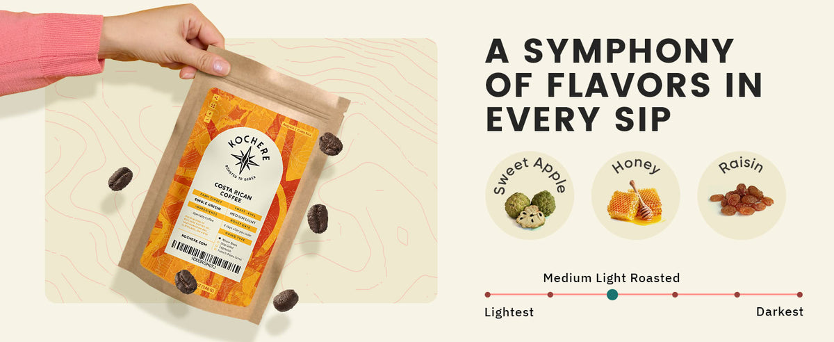 A hand holds a bag of Nochere coffee beans; flavor notes include sweet apple, honey, and raisin. Roast level is indicated as medium-light on a light-to-dark scale.
