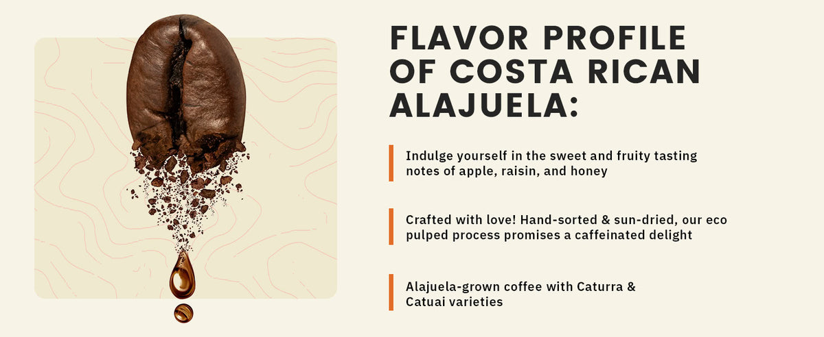 A coffee bean with ground coffee and a drop below it, next to text describing the flavor profile and origin of Costa Rican Alajuela coffee.