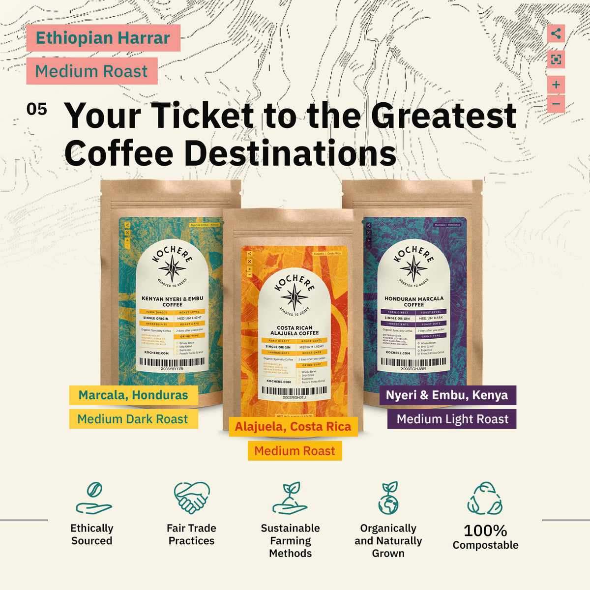Kochere Coffee Company’s Ethiopian Harrar Natural Medium Roast is displayed, showcasing its origin, fruity and berry notes, dark chocolate flavor, and sustainability icons below.[all]