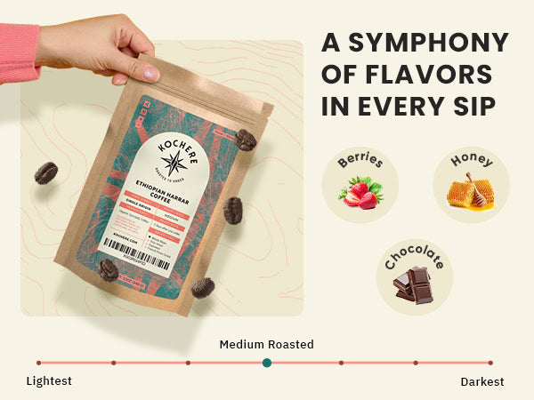 A hand holds a bag of Noché coffee; berries, honey, and chocolate icons suggest flavors, and a scale indicates medium roast.