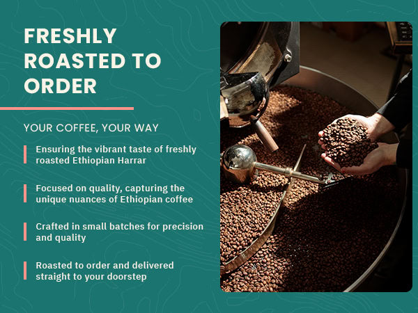 A person uses a tool to stir coffee beans in a large roasting machine, with text describing the benefits of freshly roasted Ethiopian coffee.