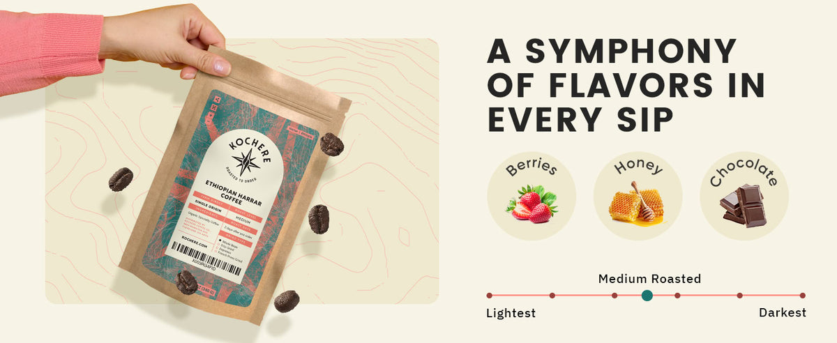A hand holds a bag of Noché coffee; berries, honey, and chocolate icons suggest flavors, and a scale indicates medium roast.