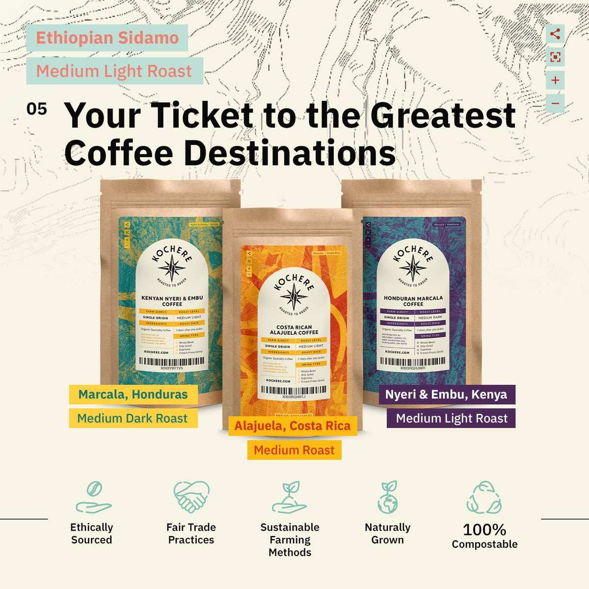 Ad for Ethiopian Sidamo Medium Light Roast graphic reading 'Guaranteed Freshness in the Form of Exquisite Flavor,' accompanied by a cup of coffee and whole beans. [all]