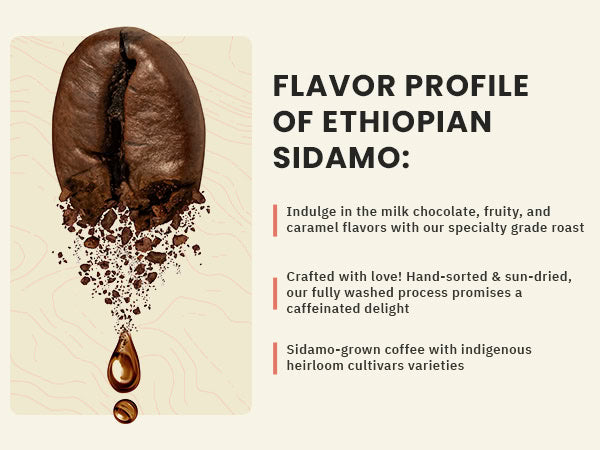 A large coffee bean with coffee grounds and a spoon next to flavor notes and features of Ethiopian Sidamo coffee, including chocolate, fruity, and caramel flavors.