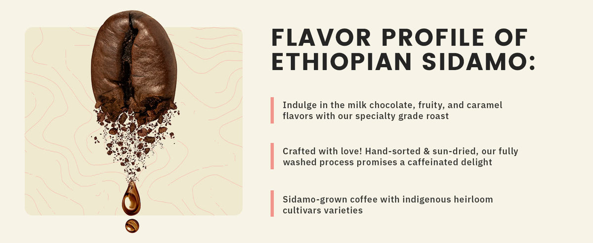 A large coffee bean with coffee grounds and a spoon next to flavor notes and features of Ethiopian Sidamo coffee, including chocolate, fruity, and caramel flavors.
