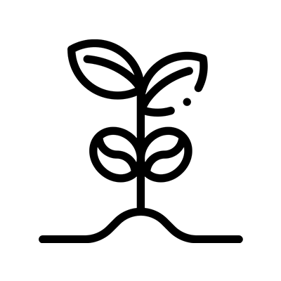 Black and white line drawing of a young plant with two leaves and two seed leaves growing from the ground.