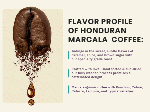 A coffee bean with grounds and a drip below, beside text detailing the flavor profile and origins of Honduran Marcala coffee, highlighting its caramel, spice, and brown sugar notes.