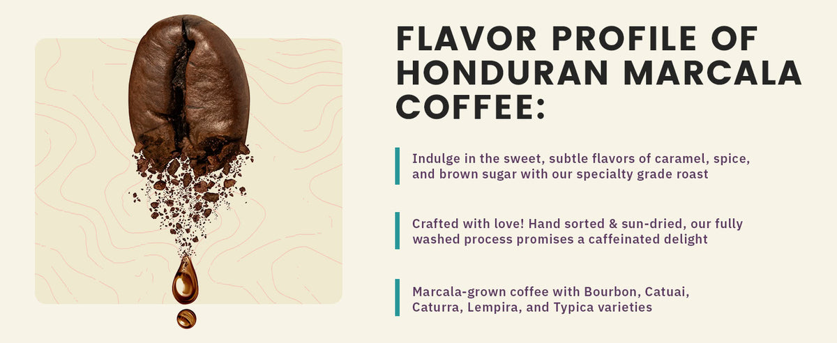 A coffee bean with grounds and a drip below, beside text detailing the flavor profile and origins of Honduran Marcala coffee, highlighting its caramel, spice, and brown sugar notes.