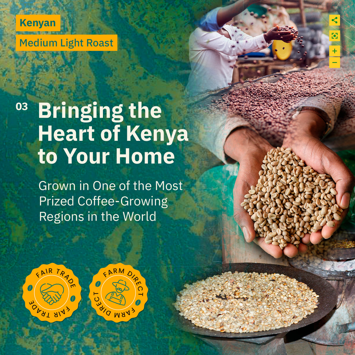 Collage with green and roasted Kochere Coffee Kenyan Nyeri Embu AB Medium-Light Roast beans, brewing process, and text: "Fruity, Balanced, Bright Cup from Nyeri Embu." Fair trade and farm direct icons. Brand: Kochere Coffee Company.