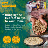 Collage with green and roasted Kochere Coffee Kenyan Nyeri Embu AB Medium-Light Roast beans, brewing process, and text: "Fruity, Balanced, Bright Cup from Nyeri Embu." Fair trade and farm direct icons. Brand: Kochere Coffee Company.