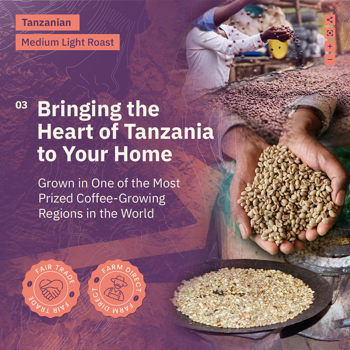 Ad for Tanzanian Medium Light Roast coffee featuring Fair Trade and Farm Direct badges, alongside a photo collage of coffee beans being sorted, held, and roasted. [all]