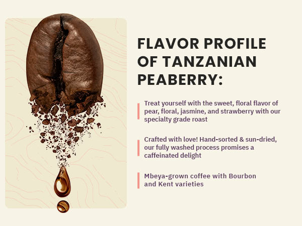 A large coffee bean breaking apart with text describing the flavor profile of Tanzanian Peaberry coffee, including notes of pear, floral, jasmine, and strawberry.
