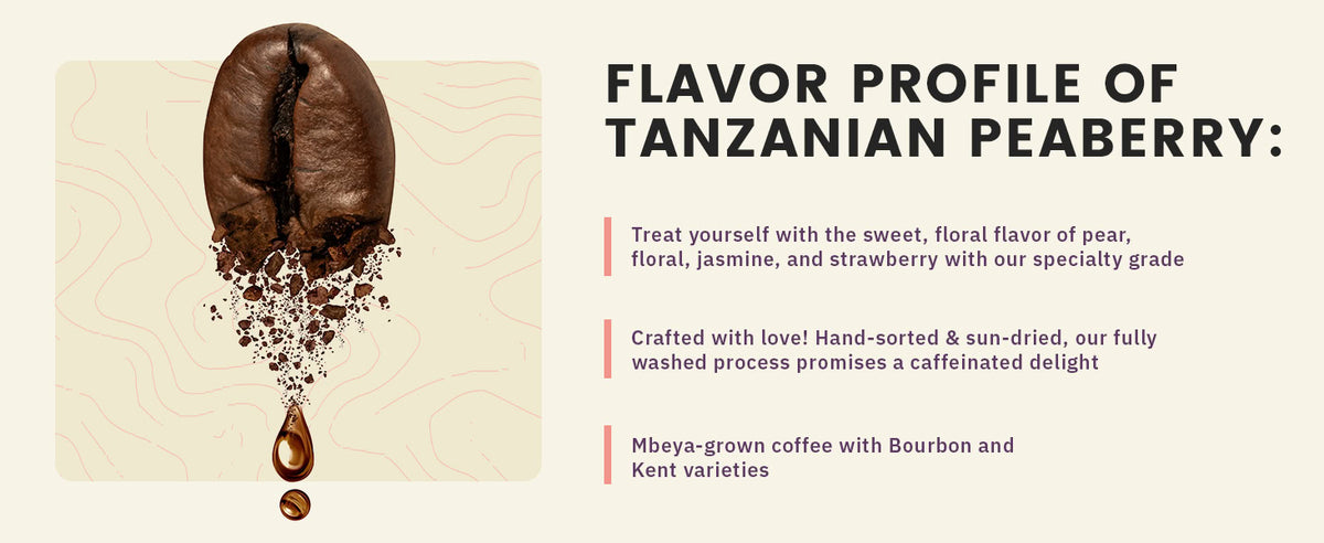 A large coffee bean breaking apart with text describing the flavor profile of Tanzanian Peaberry coffee, including notes of pear, floral, jasmine, and strawberry.