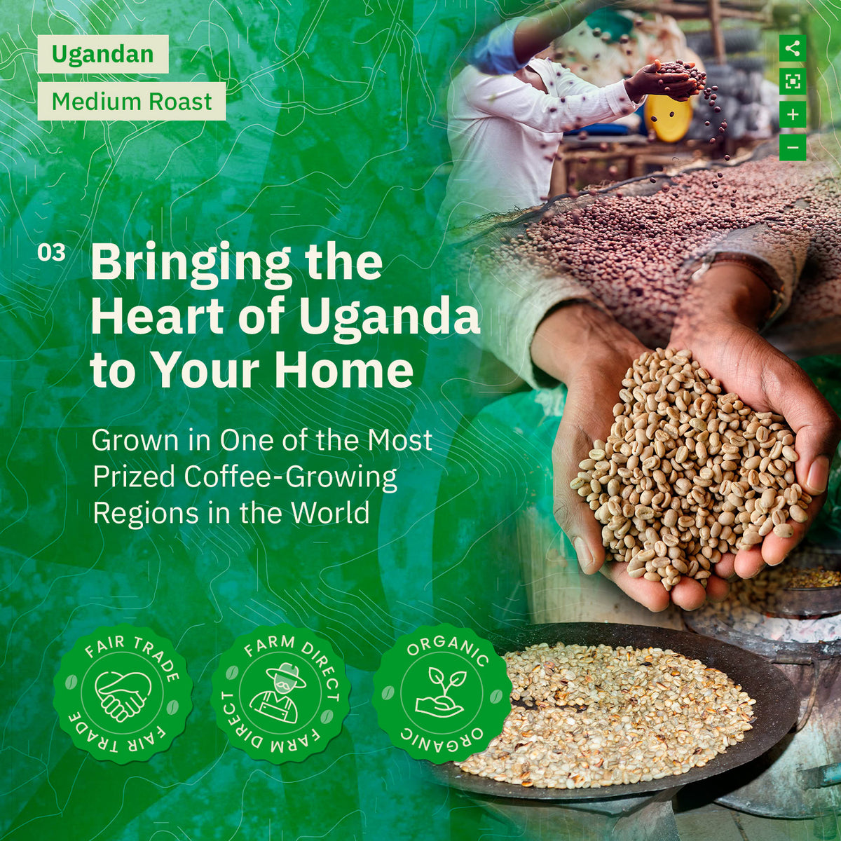 Advertisement for Ugandan coffee with hands holding coffee beans and text about coffee growing in Uganda. [all]