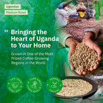 Advertisement for Ugandan coffee with hands holding coffee beans and text about coffee growing in Uganda. [all]