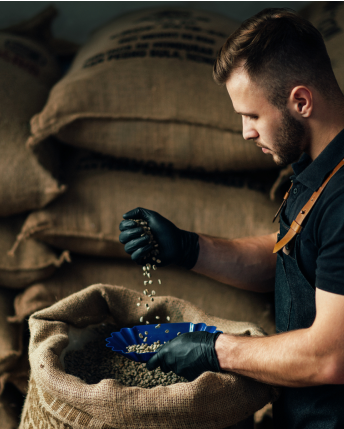 A man wearing gloves inspects and sifts through coffee beans in a large burlap sack, with stacked sacks of beans in the background.