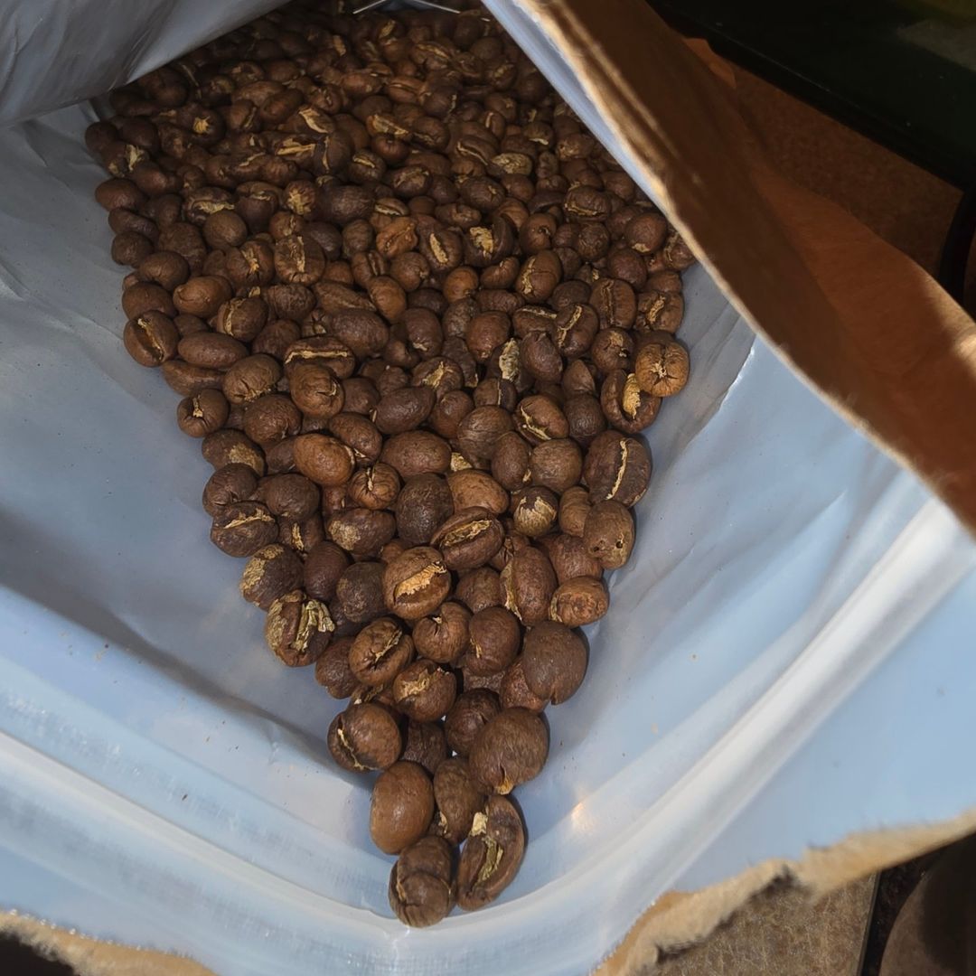 A close-up view of roasted coffee beans inside an open, partially empty coffee bag.