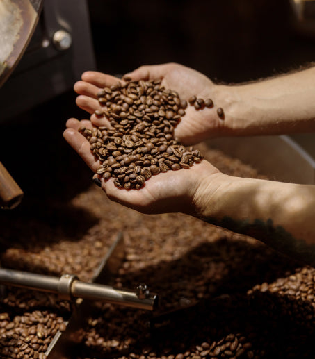 A person holds a pile of roasted coffee beans in both hands over a large container filled with more beans.